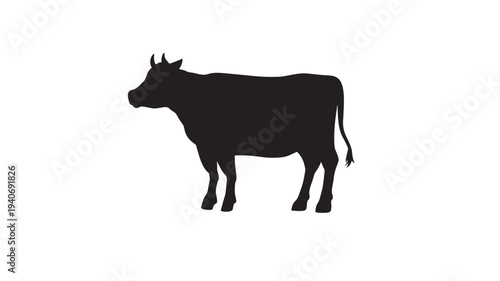 Cow silhouette with horns standing on a white background, representing livestock and agriculture featuring cattle, farm, animal with black and dairy