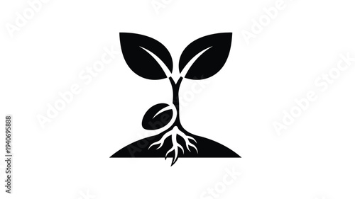 Young plant sprouting from earth showcasing a striking silhouette
