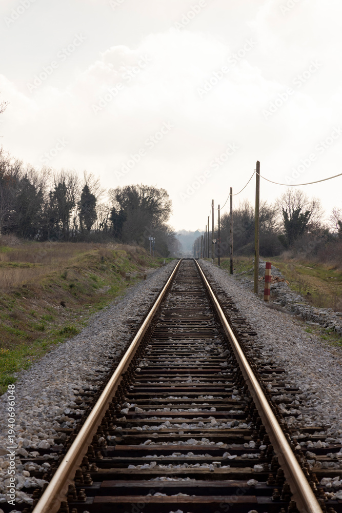 Fototapeta premium A railroad track with a few trees in the background