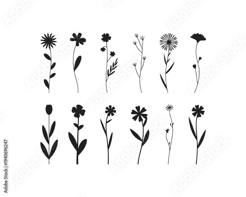 A compilation of twelve black silhouette wildflower with delicate stems and varied bloom shapes on a white background