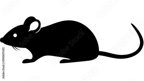 mouse on a white background