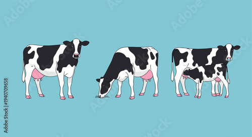 dairy cow set illustration, farm cattle animals, black white cow collection, milk production livestock, agriculture farm animal design