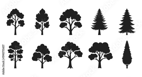 A collection of diverse tree shapes and foliage styles presented as black silhouettes high quality professional detailed modern elegant stylish clean