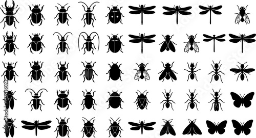 A collection of detailed insect silhouettes depicting various bugs and flying insects suitable for design elements and educational resources
