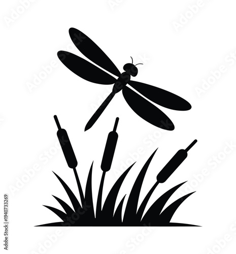 Dragonfly hovers above tall aquatic reeds and marsh grasses silhouette.