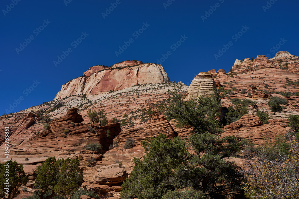 Fototapeta premium National Zion Park, Utah, USA - October 21, 2025 - Hiking trail winding through a narrow canyon with towering sandstone cliffs and lush green trees