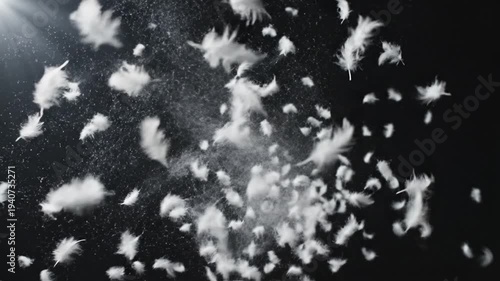 White feathers floating in the air against a black background with sunlight.