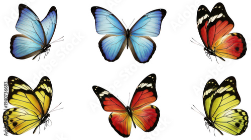 butterfly flowers png butterfly floral decoration png nature insect flower png transparent background image