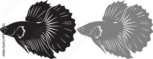 Two stylized silhouettes of fighting fish showcasing their elaborate fins and tails