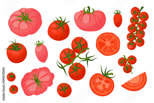 Vector collection of different types of tomatoes, such as cherry tomatoes on the vines, sliced tomatoes, and whole ripe tomatoes.