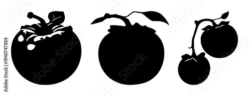 Persimmon set with solid black silhouette of a whole persimmon fruit with a small stem featuring botanical, seasonal, solid fill with white background and vector