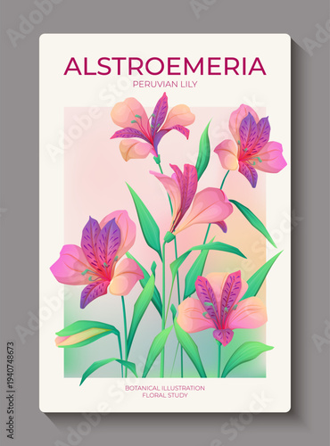 Botanical poster with alstroemeria flowers. Vector illustration of a Peruvian lily. Elegant floral template, floral design, and spring decoration with a nature theme.
