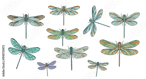 A collection of nine intricately patterned dragonflies in various colors and orientations are scattered across a clean white background.