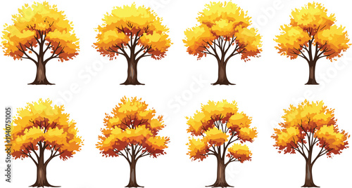 Flat vector autumn yellow orange trees collection set for nature landscape design isolated on white background for seasonal concept