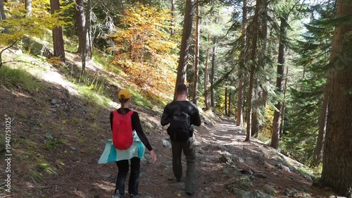 Two hikers walk a sun-dappled forest trail. Dense pines frame the winding path. One hiker carries a backpack. Sunlight filters through tall green trees. The path rises gently through the woods
