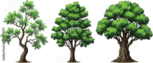 Flat vector collection of autumn yellow orange trees set for nature landscape design isolated on white background for seasonal concept