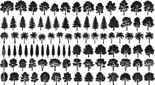 Large collection of black tree silhouettes including pine palm and deciduous species isolated on white for graphic design