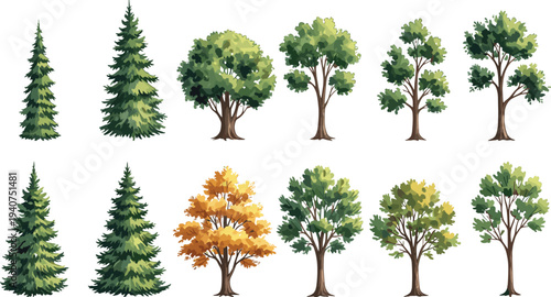 Single isolated curved tree branch with lush green leaves and textured brown bark for nature design on white