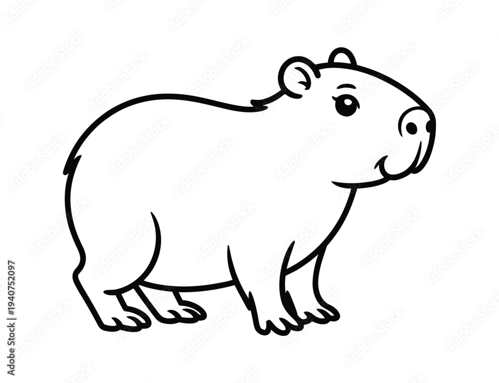 Obraz premium Capybara rodent stands sideways looking toward.