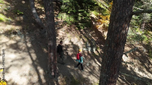 Two hikers walk a sun-dappled forest trail. Dense pines frame the winding path. One hiker carries a backpack. Sunlight filters through tall green trees. The path rises gently through the woods
