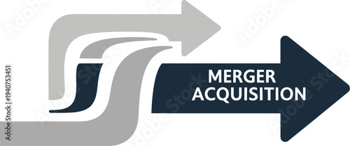 Graphic representation shows multiple converging streams leading into a final large arrow labeled Merger Acquisition for.