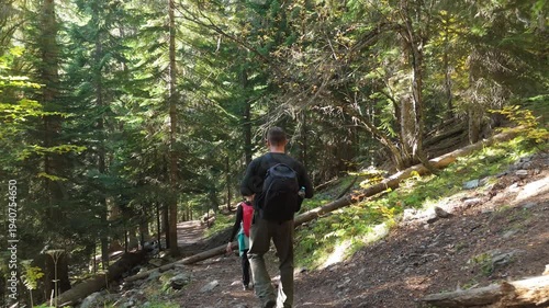 Two hikers walk a sun-dappled forest trail. Dense pines frame the winding path. One hiker carries a backpack. Sunlight filters through tall green trees. The path rises gently through the woods