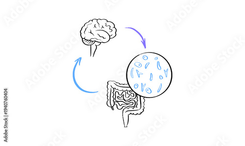 Gut Brain Connection