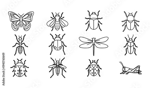 Outline insects icons collection with butterfly bee beetle and dragonfly
