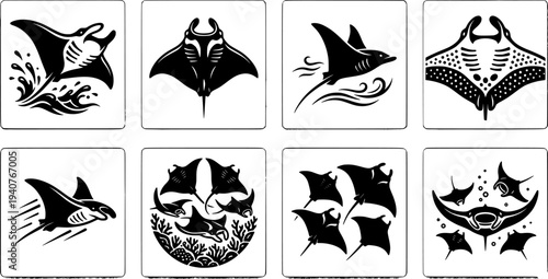 Flat design manta ray silhouette set showing multiple angles close up profile and group swim motion black vector icons minimal
