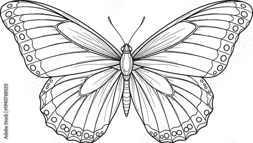 Butterfly coloring page for kids and adults free printable art