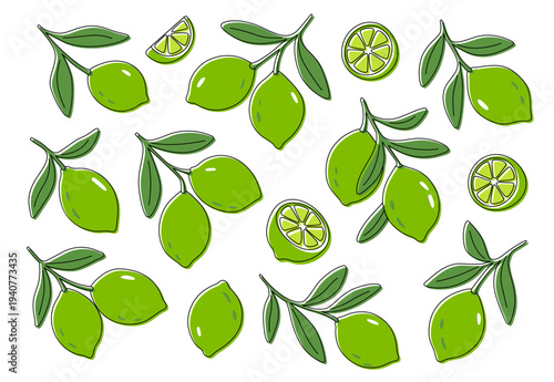 Green limes set. Vibrant citrus fruits, slices, and leaves in stylized flat illustration on white background