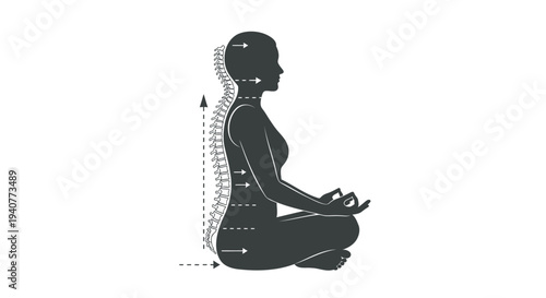 Vector illustration of woman in yoga pose with spine alignment