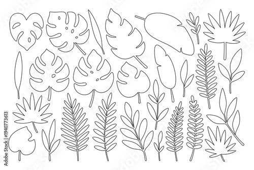 Outline assorted tropical leaves. Detailed drawings for botanical coloring books, patterns, and creative vector design projects