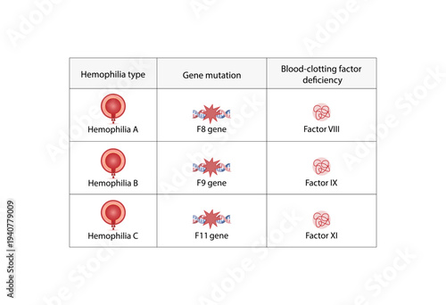 Hemophilia, a bleeding disorder that slows the blood clotting. Haemophilia types A,B,C Coagulation disorder. Gene mutations, Blood clotting factors deficiency VIII, IX, XI. Vector illustration.