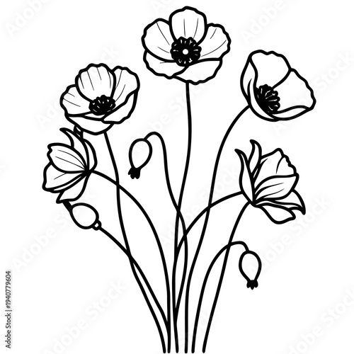 Vector illustration of a vintage floral drawing featuring a rose and poppy blossom design with nature leaves and buds for a summer art decoration card