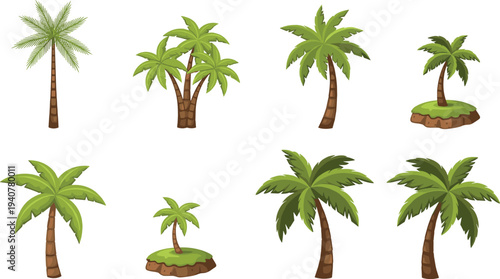 Set of tropical palm trees, collection of different exotic coconut tree icons for beach and island summer design flat cartoon vector illustration