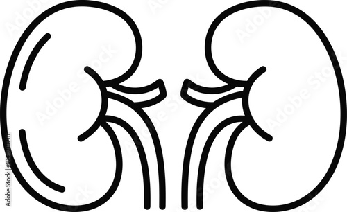 Kidney organs icon vector graphic illustration for medical health care and biology
