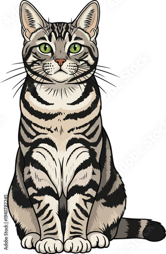 American Shorthair cat sitting attentive facing front cute illustration