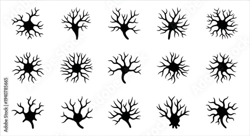 Silhouette illustrations of various neurons viewed from different angles on a clean background