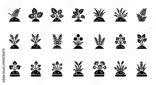 Collection of various plants and flowers in pots, showcasing diverse foliage and blooms in a simple, illustrative style.