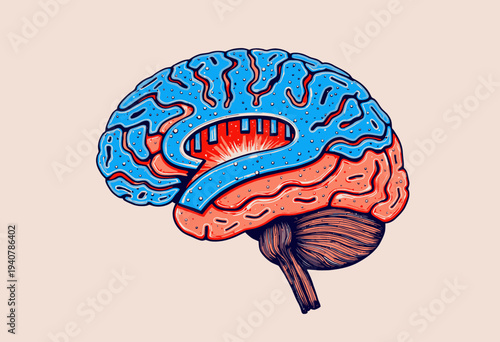 Intricate Digital Illustration of a Human Brain with Emphasis on Neural Networks and Cognitive Pathways in Vibrant Blue and Coral Tones