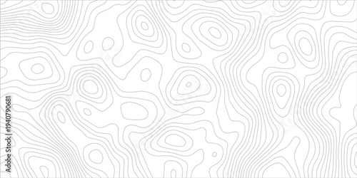Abstract White Topographic Map Background with Light Gray Contour Lines, Smooth Terrain Elevation Curves and Modern Cartography Line Art Design.