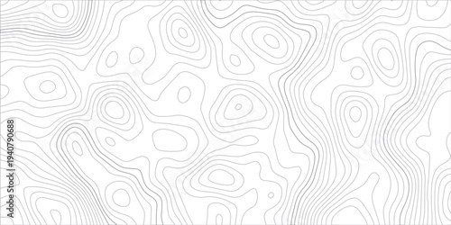 Modern Minimalist Topographic Map Background with Light Gray Contour Lines on White, Smooth Elevation Curves and Abstract Geographic Terrain Pattern.