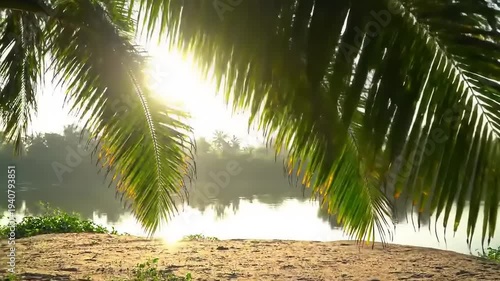 Wallpaper Mural Sun shining through palm leaves by river. Torontodigital.ca
