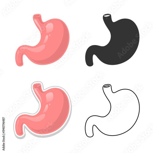 Human stomach vector illustration collection featuring color silhouette and line art styles. Anatomical digestive system icons for medical education healthcare infographics and gastrology web design.