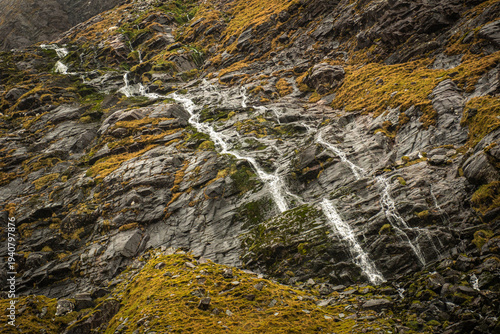 woman with yellow bagpack on the green mountain ridge