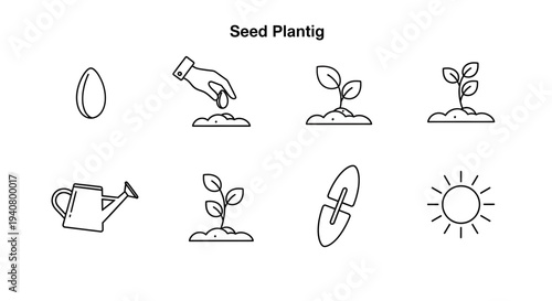 A set of vector icons illustrating the process of seed planting and growth