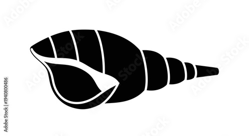 Black Conch Shell Illustration Simple Design.