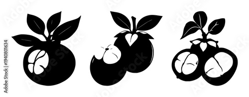Mangosteen fruit set with solid black silhouette featuring tropical exotic theme, leaf crown, black and white illustration with fruit and foliage and botanicals