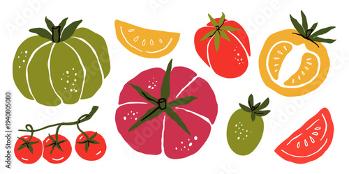 Tomato illustration set, Hand drawn tomatoe. Whole sliced and cherry tomatoes isolated on white background. Colorful vegetable collection. Botanical food drawing vector